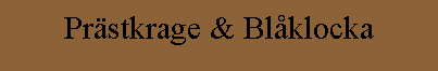 Prästkrage & Blåklocka