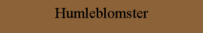 Humleblomster