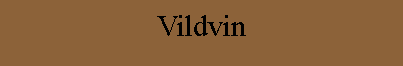 Vildvin