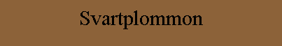 Svartplommon