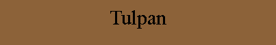 Tulpan