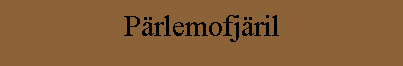 Pärlemofjäril