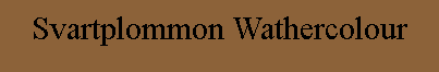 Svartplommon Wathercolour
